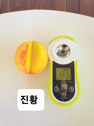 산들농장(화성)님의 복숭아 · 자유게시판 작성글 사진