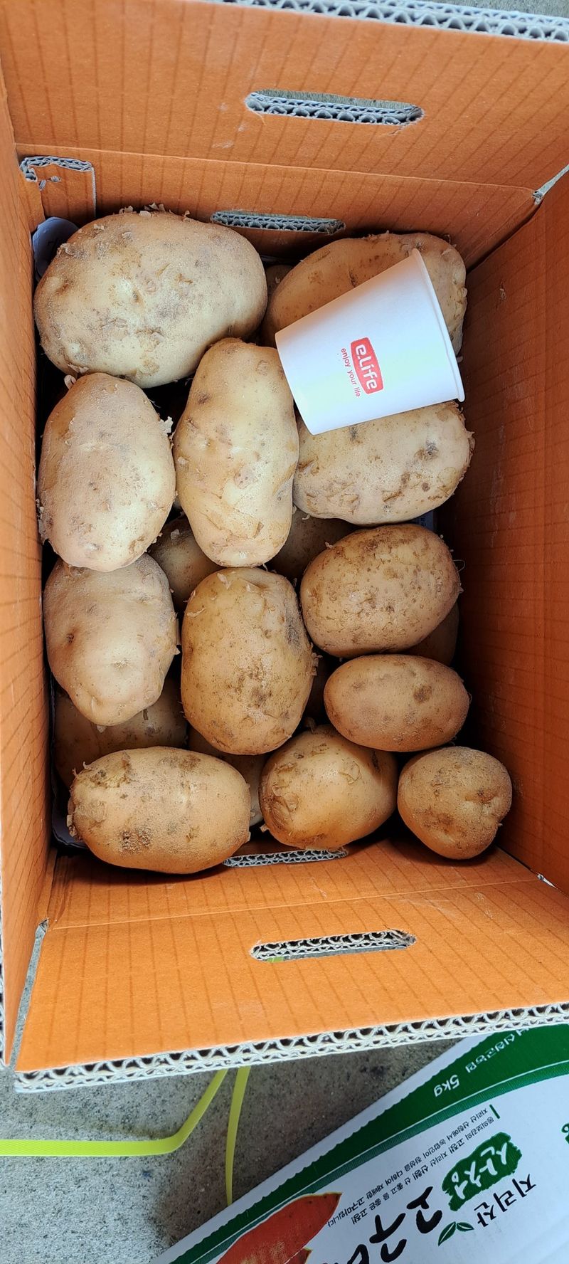 장터 상품 [20kg] 썸네일