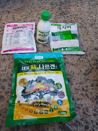 문성농장15146님의 감 · 영농일지 작성글 사진