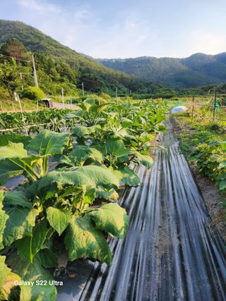 강신규님의 자유주제 · 자유게시판 작성글 사진