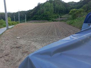 이성수님의 콩 · 자유게시판 작성글 사진