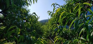 λ¬λ§ν볡μμλμλμ 볡μμ Β· μμ κ²μν μμ±κΈ μ¬μ§