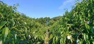 λ¬λ§ν볡μμλμλμ 볡μμ Β· μμ κ²μν μμ±κΈ μ¬μ§