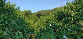 λ¬λ§ν볡μμλμλμ 볡μμ Β· μμ κ²μν μμ±κΈ μ¬μ§