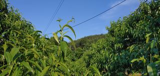 λ¬λ§ν볡μμλμλμ 볡μμ Β· μμ κ²μν μμ±κΈ μ¬μ§