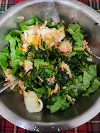 권지연.옥천.님의 옥수수 · 자유게시판 작성글 사진