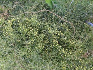 알 수 없음님의 자유주제 · 자유게시판 작성글 사진