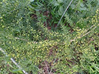 알 수 없음님의 자유주제 · 자유게시판 작성글 사진