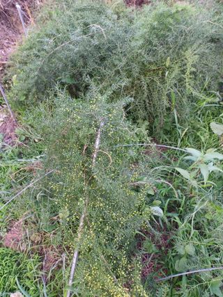 알 수 없음님의 자유주제 · 자유게시판 작성글 사진