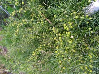 알 수 없음님의 자유주제 · 자유게시판 작성글 사진