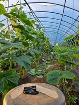 팜모닝 우리동네·동네자랑 게시글 이미지