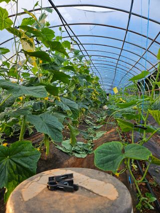 이병희님의 우리동네 · 동네자랑 작성글 사진