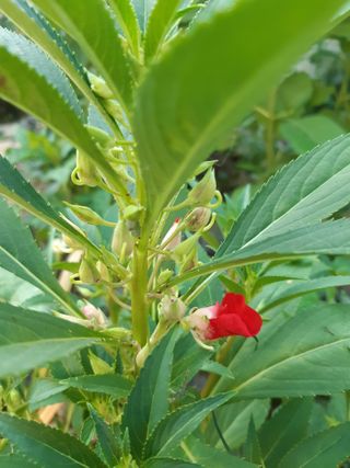 새리님의 자유주제 · 자유게시판 작성글 사진