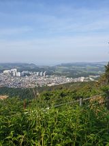 팜모닝 자유주제·자유게시판 게시글 이미지