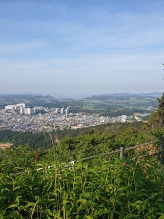 해당화님의 자유주제 · 자유게시판 작성글 사진