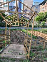 팜모닝 자유주제·자유게시판 게시글 이미지