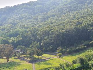 안젤로니아님의 자유주제 · 사진전 작성글 사진