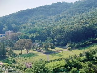 안젤로니아님의 자유주제 · 사진전 작성글 사진