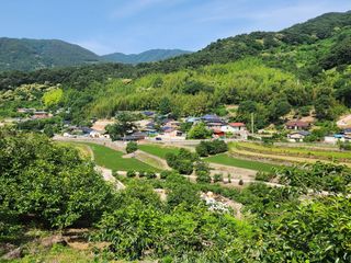 임규하님의 우리동네 · 동네자랑 작성글 사진