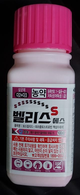 일동 풍경소리님의 감 · 영농일지 작성글 사진