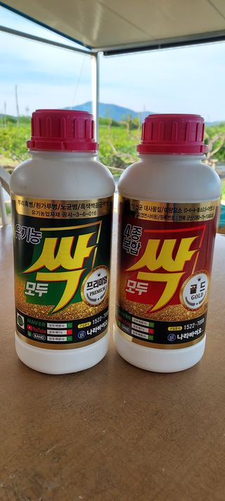 일동 풍경소리님의 참깨 · 영농일지 작성글 사진