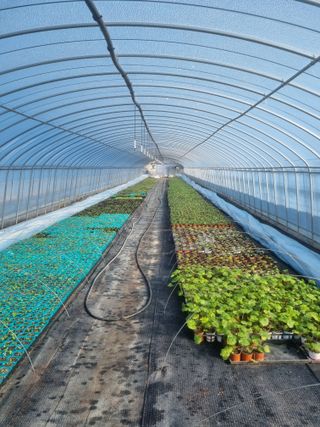 이명숙님의 하우스정보 · 자유게시판 작성글 사진