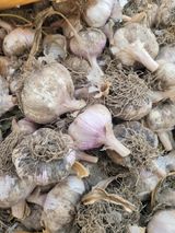 팜모닝 자유주제·자유게시판 게시글 이미지