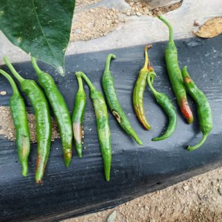 김수로님의 자유주제 · 자유게시판 작성글 사진