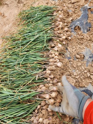 김성원님의 작성글 사진
