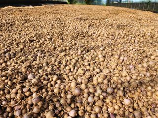 김성원님의 작성글 사진