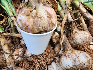 김성원님의 작성글 사진