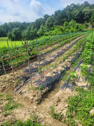 초보얌님의 자유주제 · 자유게시판 작성글 사진