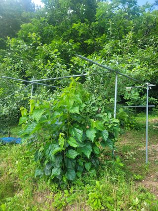 초보얌님의 자유주제 · 자유게시판 작성글 사진