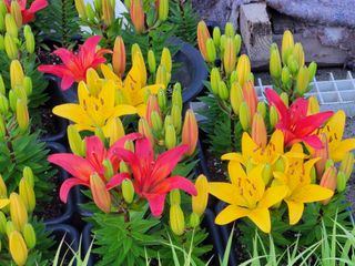 오마니농장님의 자유주제 · 자유게시판 작성글 사진