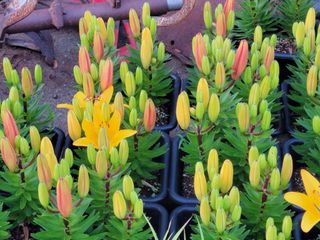 오마니농장님의 자유주제 · 자유게시판 작성글 사진