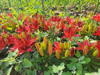 오마니농장님의 자유주제 · 자유게시판 작성글 사진