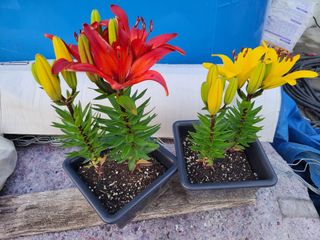 오마니농장님의 자유주제 · 자유게시판 작성글 사진