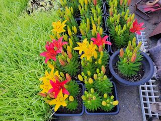 오마니농장님의 자유주제 · 자유게시판 작성글 사진