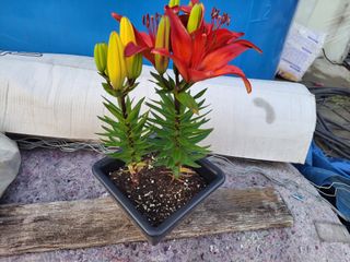 오마니농장님의 자유주제 · 자유게시판 작성글 사진