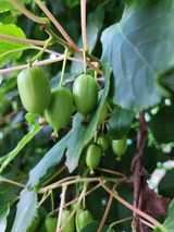 팜모닝 자유주제·자유게시판 게시글 이미지