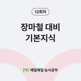 팜모닝 농사공부님의 매일매일 농사공부 · 매일매일 농사공부 작성글 사진