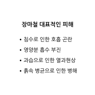팜모닝 농사공부님의 매일매일 농사공부 · 매일매일 농사공부 작성글 사진