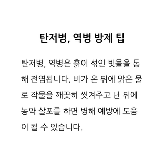 팜모닝 농사공부님의 매일매일 농사공부 · 매일매일 농사공부 작성글 사진