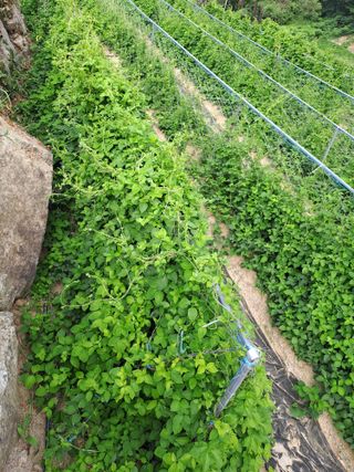 강정희님의 기타작물 · 자유게시판 작성글 사진