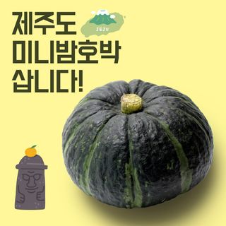 팜모닝 정인근님의 호박 · 자유게시판 작성글 사진