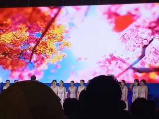 이성수님의 콩 · 자유게시판 작성글 사진