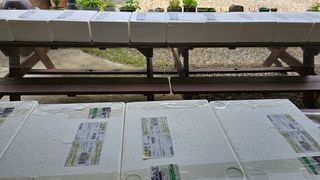 신현길 (님의 블루베리 · 자유게시판 작성글 사진