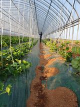 팜모닝 기타작물·자유게시판 게시글 이미지