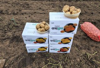 김태환님의 작성글 사진