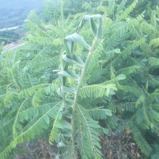 강물님의 자유주제 · 사진전 작성글 사진